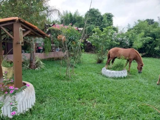 Foto 10: Vende linda Chácara Jacutinga 